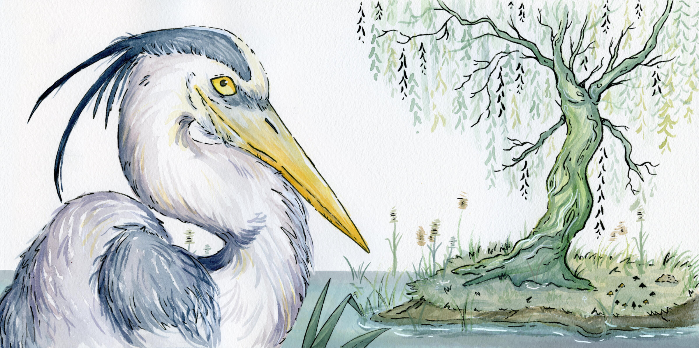 The Heron - 2024 - Ink and Watercolour - 24 x 12"