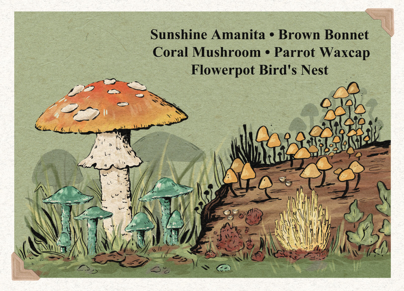 Mushrooms of Horseman's Park - 2023 - Mixed Media - 5 x 7"