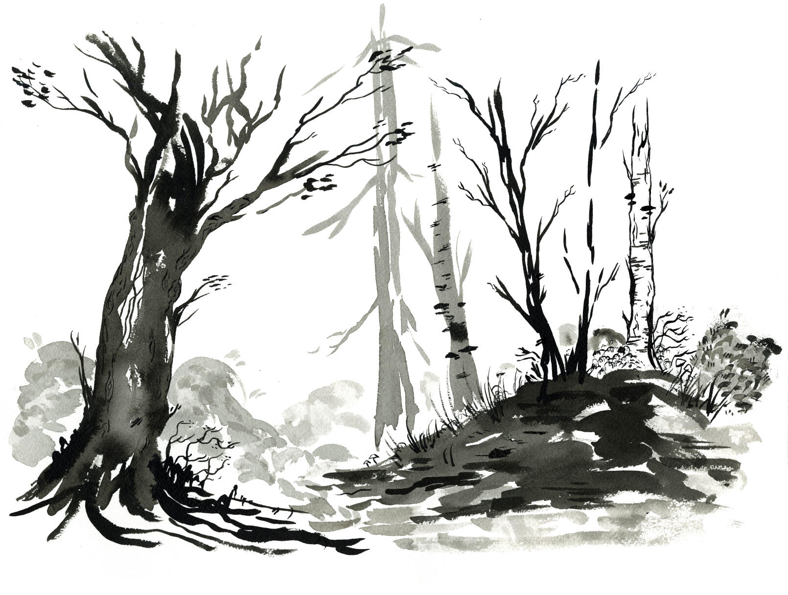 Ink Trees - 2026 - India Ink - 16 x 12"